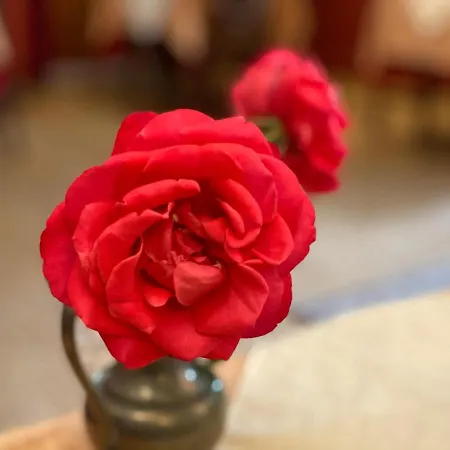 Kreuzerhof Garni 2* Rothenburg ob der Tauber